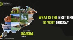 What is the Best Time to Visit Orissa