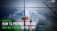 Deep Sea Fishing Trips in Dubai