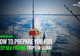Deep Sea Fishing Trips in Dubai