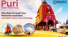 Puri Rath Yatra Tour Package