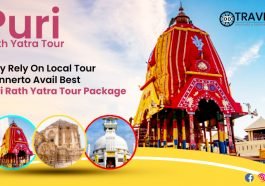 Puri Rath Yatra Tour Package
