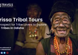 Orissa tribal tours