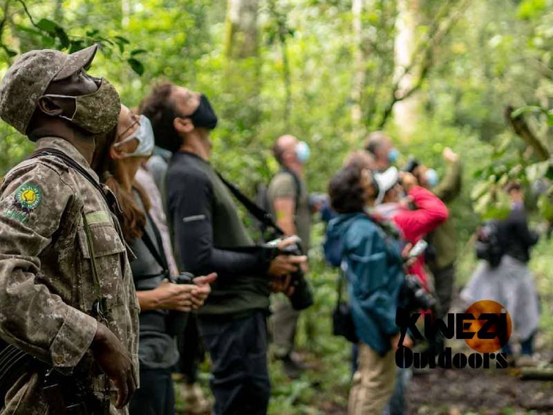 Hire Knowledgeable Guides - Kwezi Outdoors