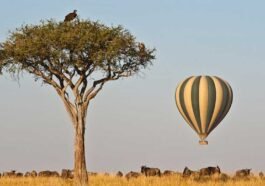 Hot Air Balloon Masai Mara