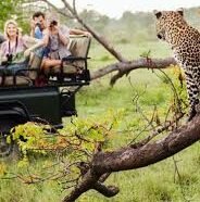 African safari tour