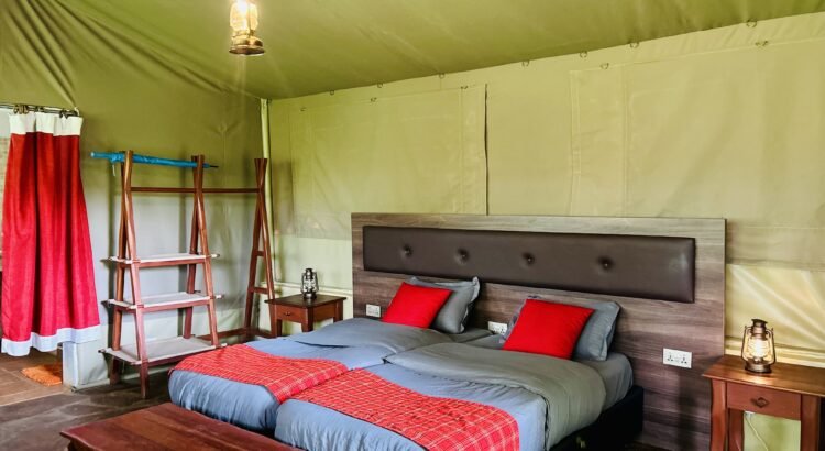 Safari Luxury Tents