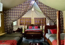 luxury tented accommodation