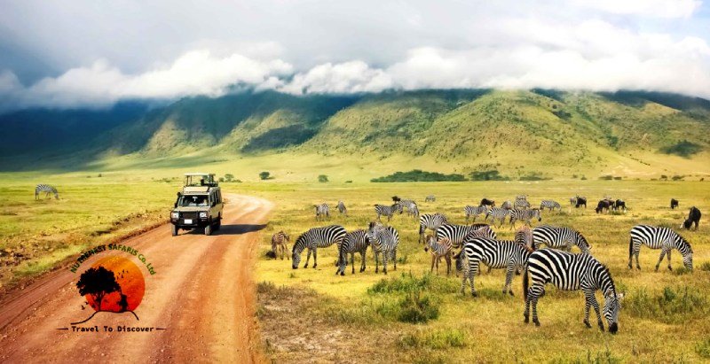 East Africa's wilderness