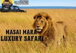 Masai Mara Luxury Safari