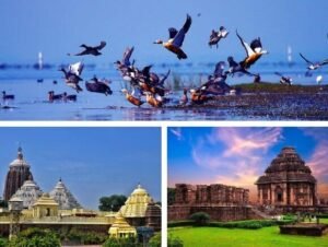 Odisha Golden Triangle Tour