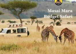 Masai Mara Budget Safari