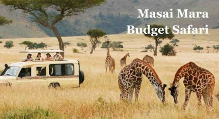 Masai Mara Budget Safari