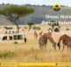 Masai Mara Budget Safari