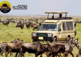 Luxury Safaris in Kenya