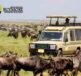 Luxury Safaris in Kenya