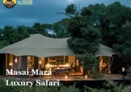 Masai Mara Luxury Safari