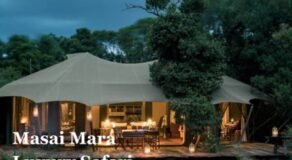 Masai Mara Luxury Safari